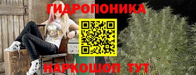 Альфа ПВП Моздок