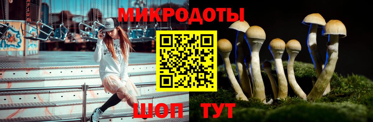 дарнет шоп  Вход с VPN  Гулькевичи  Галлюциногенные грибы GOLDEN TEACHER 